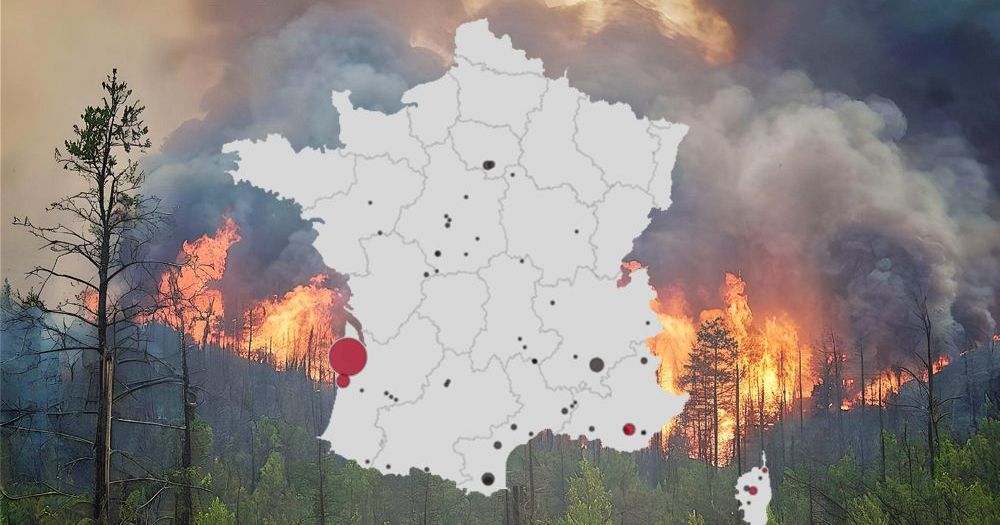 Forêt française avec une végétation sèche pendant une période de risque élevé d'incendie
