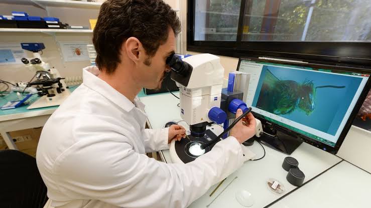 Investissement dans la recherche scientifique en France